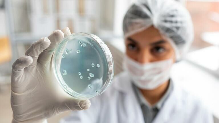 Imagem de compartilhamento para o artigo Após morte de deputada Grazielle, saúde reforça alerta sobre riscos da Salmonella da MS Todo dia